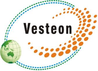 Shandong Vesteon Automotive Parts(Group) Co.,Ltd 