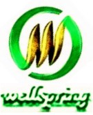 Shenzhen Wellspring Electronic Limited
