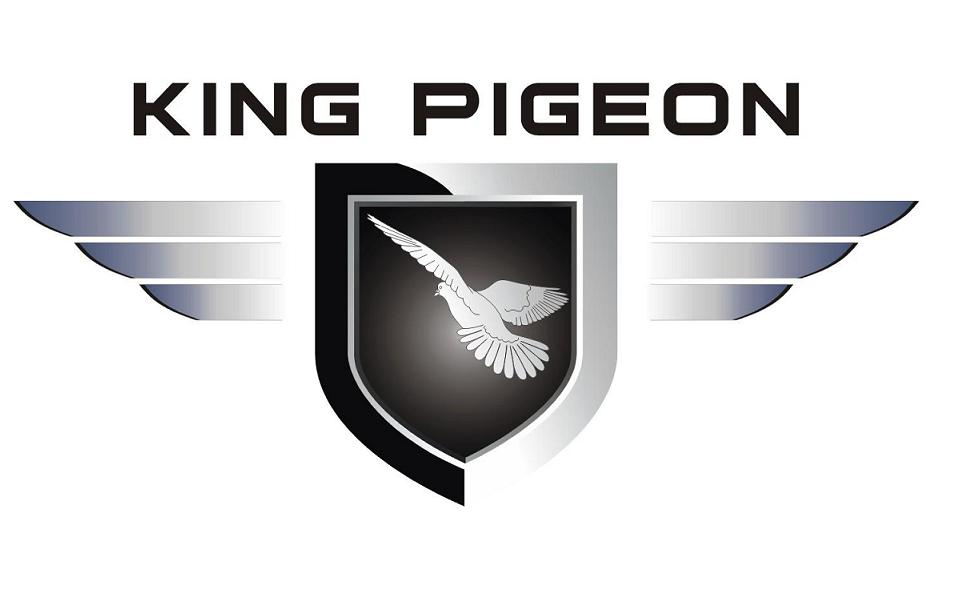 King Pigeon GSM Alarm System Company