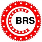 Luoyang BRS Bearing Co.,Ltd
