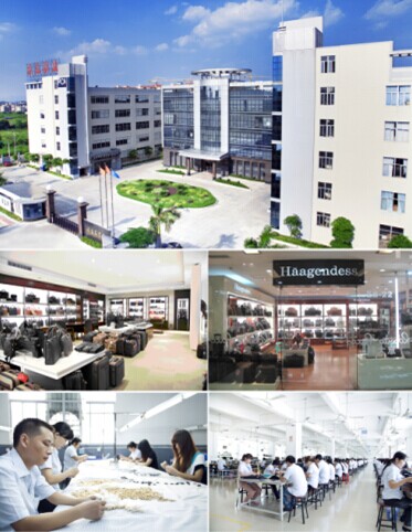 Guangzhou Haagendess Leather Co.Ltd