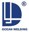 Linan Dayang Welding Material Co.,Ltd.