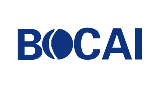 Цзинань Bocai химической технологии Co., Ltd
