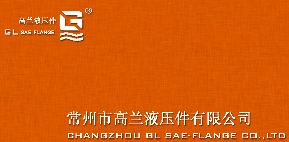 Changzhou GL Sae-flange Co.,Ltd