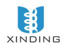 Dongguan Xinding Mechanical Equipment Co.,Ltd