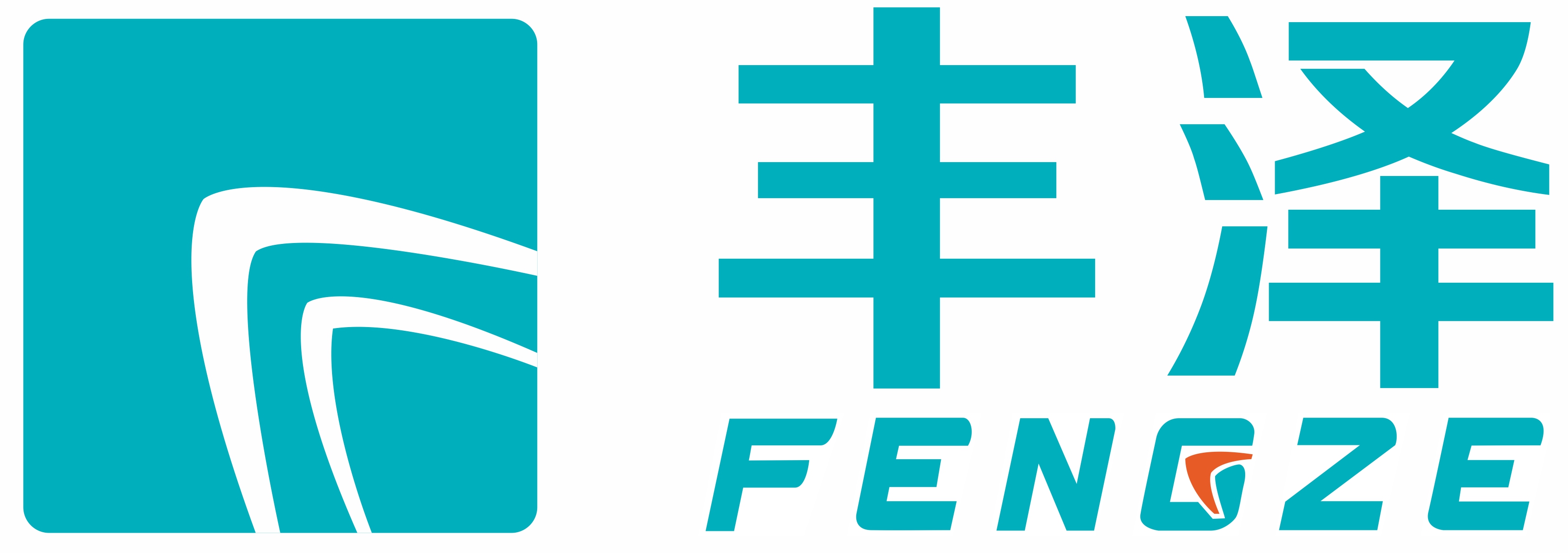 Shangdong Fengze Tech Inc 