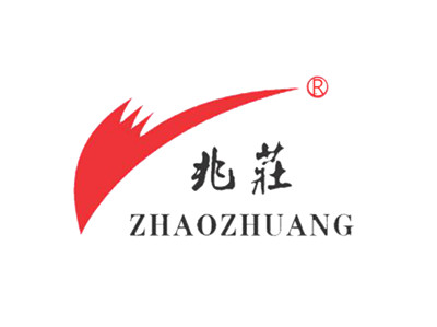 Wenzhou Zhaozhuang Automation Equipment Co., Ltd.