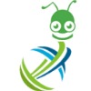 Wuhan Ants Technology Co.,ltd