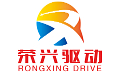 Henshui Rongxing Driving Equipment Technology Co., Ltd.