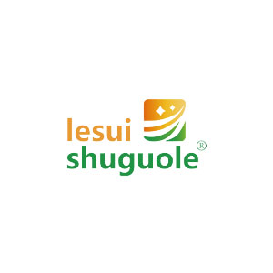 Lesui(Shanghai) Industrial Co., Ltd