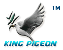 King Pigeon Hi-Tech Co., Limited