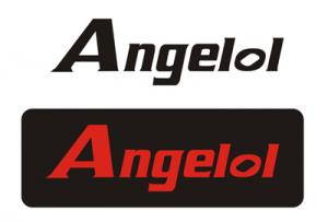 Angelol International Corporation Limited