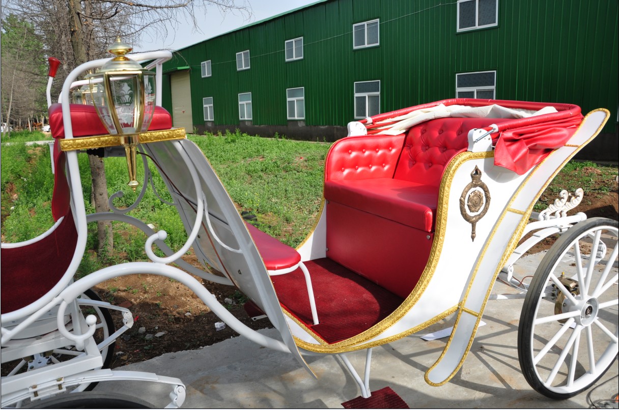Luxury white color tourism horse drawn carriage with covers for sightseeing 