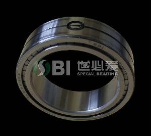 Single Row Full Complement Cylindrical Roller Bearing