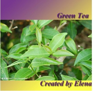 Зеленый Чай П. Е. ( Чай Полифенол 20%-98% )