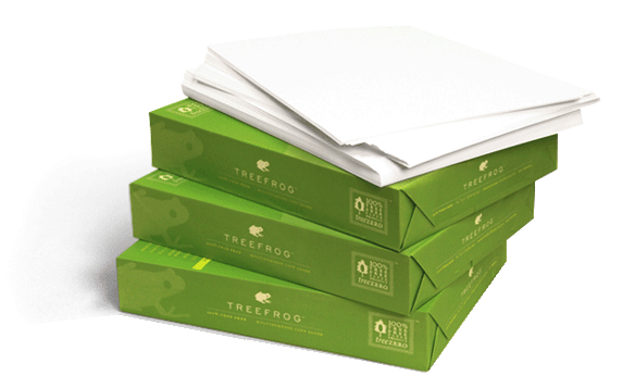 A4 Paper File Set for documents and papers