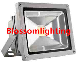 20W LED Flood Light (BS-2102)