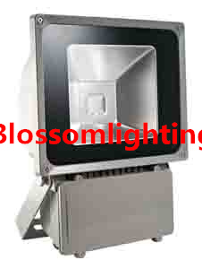 80W LED Flood Light (BS-2107)