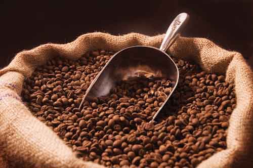 Sale of corporate rights Operating Coffee Factory