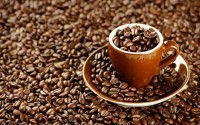 LUWAK COFFEE / CIVET COFFEE