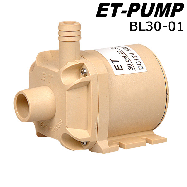 Brushless DC submersible pump  BL30-01