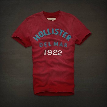 Wholesale and Retail 2013 New Arrival Abercrombie and fitch  tees 