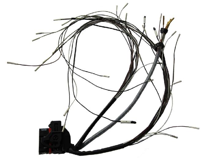 wiring harness for Electric vehicle