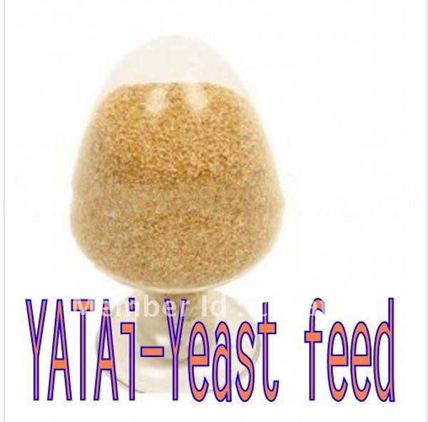 yeast feed