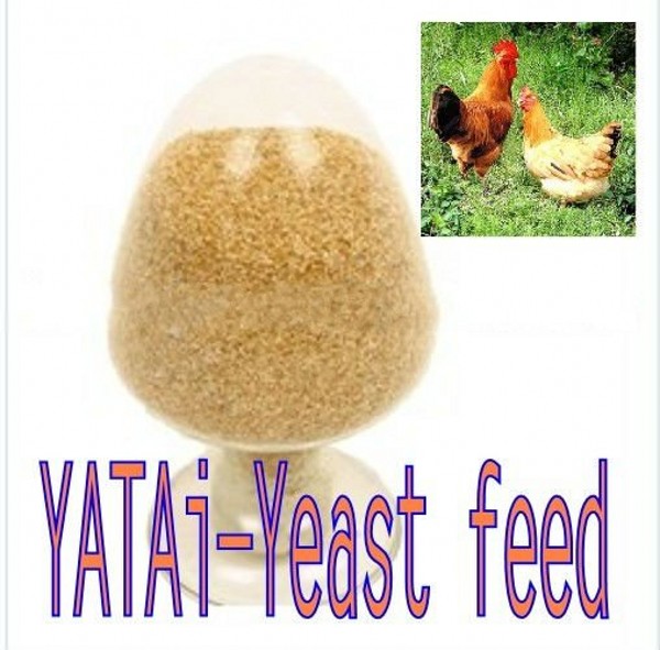 yeast feed-poultry feed