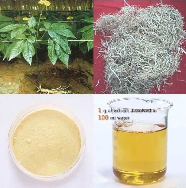 High Quality 100% Nutural Ginseng Extract Powder