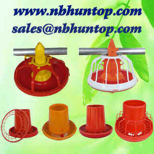 Broiler Layer Feeding System,broiler layer feeding equipment supplier China