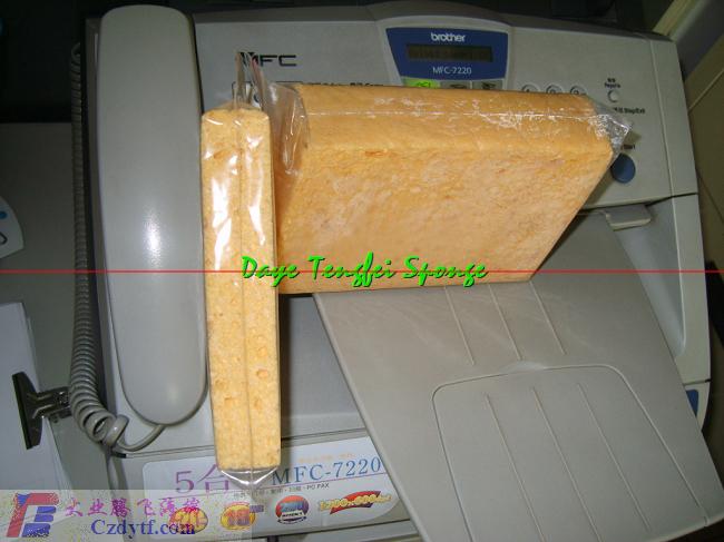 absorbent sponge   