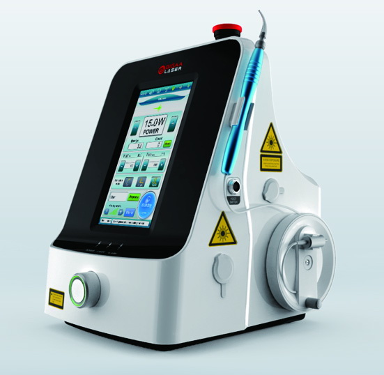 Veterinary therapy Laser