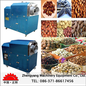 ZY-Series automation fry machine
