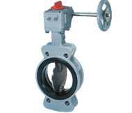TOMOE  Butterfly Valves