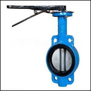Fisher High Performance Butterfly Valve A11