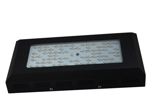 IP65, high efficiency, 240W,4200LM,120degree,80pcs LED, LED grow light fixture,100~240VAC