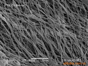 Micro Pore Filter Membrane