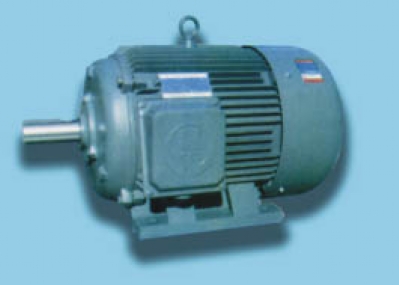  Y Series three-phase inase induction motors