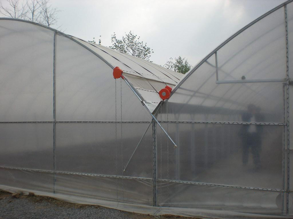 Arch Multi Span Greenhouse