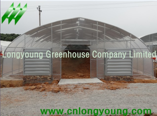  tunnel greenhouse sale