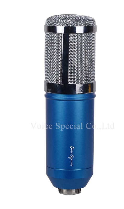Voicespecial large diaphragm condenser recording microphone 