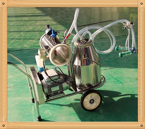 Vacuum pump milking machine for goat