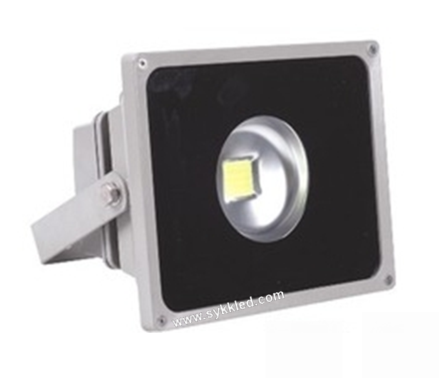 30W LED Flood Light with competitive price