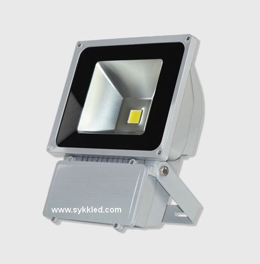 100LED Flood Light with competitive price