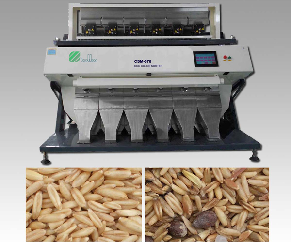 Wheat CCD Color Sorter Machine   