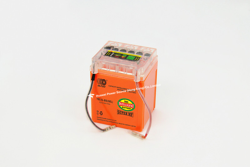 Intelligent Detected Battery with 12V Voltage and 2.5ah Capacity, 80mm Length, OEM Orders Available