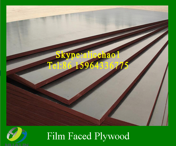 Film faced plywood/Shuttering plywood/Construction plywood/FFP