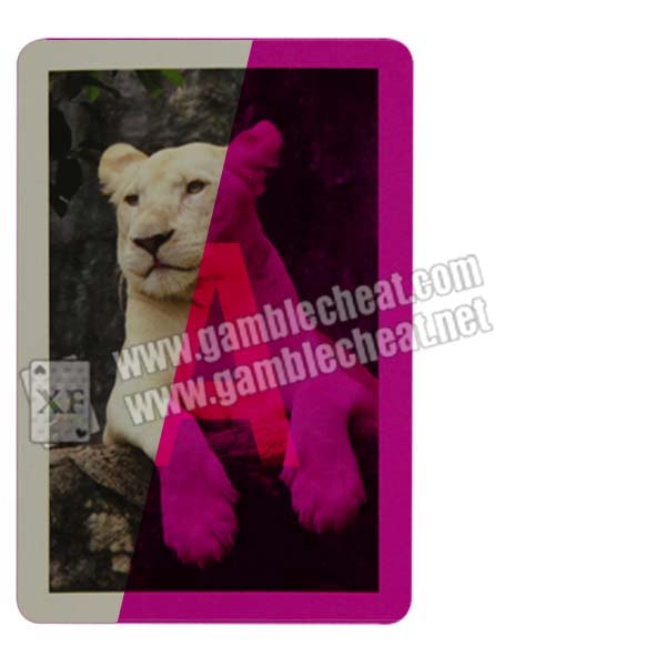 XF bonus marked cards for contact lenses/white tiger design/invisible ink/perspective glasses
