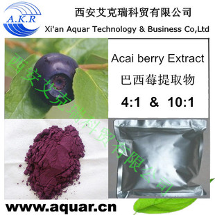 Acai Berry Extract 4:1 10:1 20:1 Anthocyanosides, procyanidins / Acai berry powder
